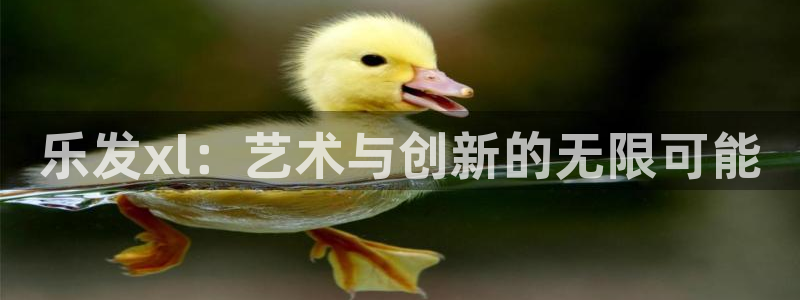 壹号娱乐平台注册入口：乐发xl：艺术与创新的无限可能