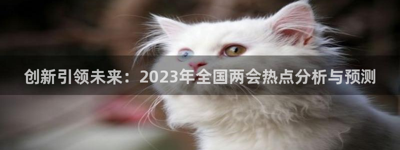 壹号娱乐现在优惠多少：创新引领未来：2023年全国两会热点分析与预测