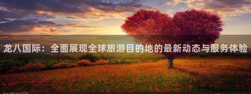 壹号娱乐体育代理申请流程：龙八国际：全面展现全球旅游目的地的最新动态与服务体验