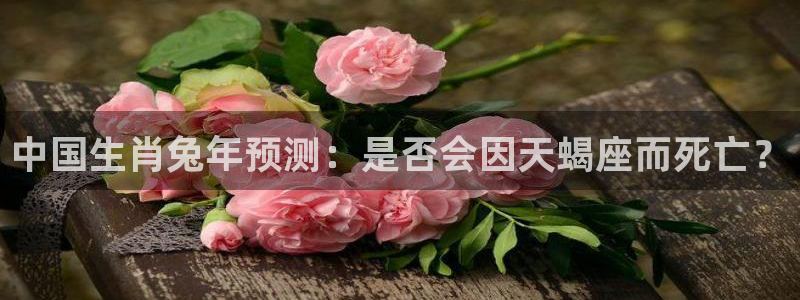壹号娱乐4平台：中国生肖兔年预测：是否会因天蝎座而死亡？