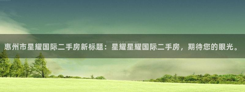 上海壹号娱乐汽车电子有限公司：惠州市星耀国际二手房新标题：星耀星耀国际二手房，期