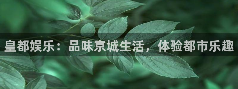 壹号娱乐体育凯捷代理注册：皇都娱乐：品味京城生活，体验都市乐趣