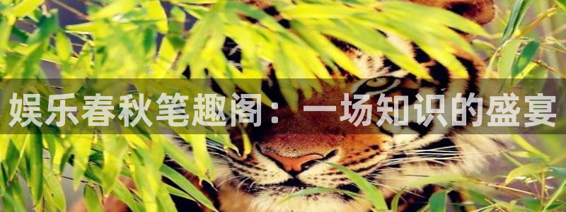 壹号娱乐体育f开号：娱乐春秋笔趣阁：一场知识的盛宴