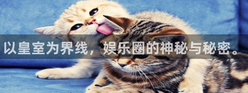 佛山市南海壹号娱乐机电仪器有限公司：以皇室为界线，娱乐圈的神秘与秘密。