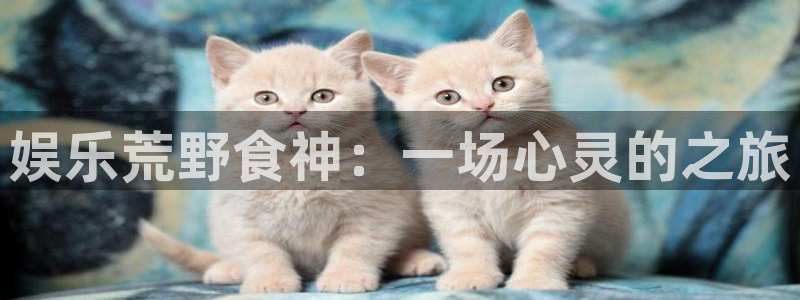 壹号娱乐集团官网：娱乐荒野食神：一场心灵的之旅