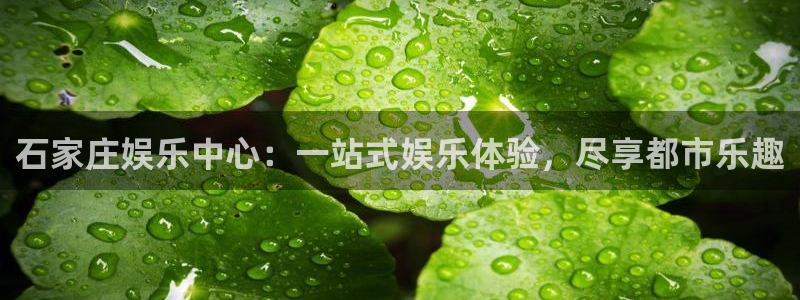 壹号娱乐体育游戏：石家庄娱乐中心：一站式娱乐体验，尽享都市乐趣