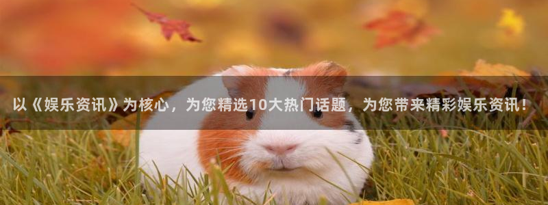 壹号娱乐登录界面入口：以《娱乐资讯》为核心，为您精选10大热门话题，为您带来精彩