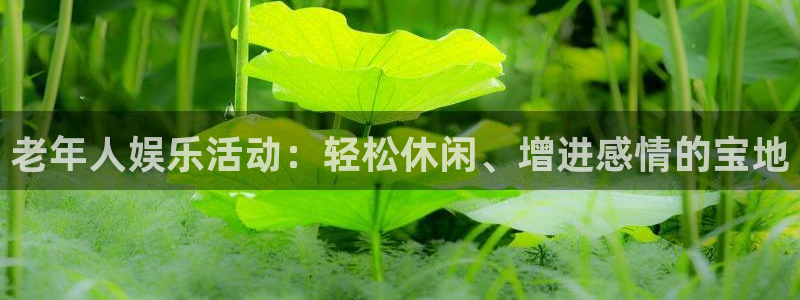 壹号娱乐体育官网登录：老年人娱乐活动：轻松休闲、增进感情的宝地