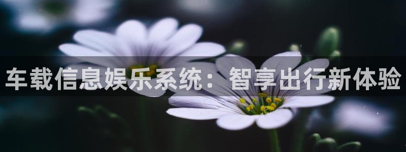壹号娱乐k：车载信息娱乐系统：智享出行新体验