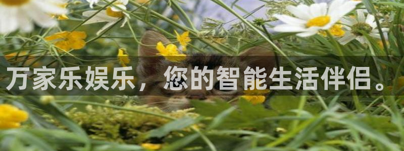 壹号娱乐游戏有哪些好玩的：万家乐娱乐，您的智能生活伴侣。