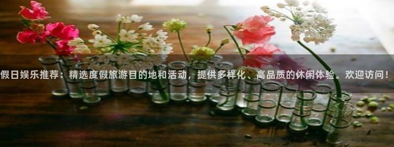 壹号娱乐体育和杏耀是哪个公司的：假日娱乐推荐：精选度假旅游目的地和活动，提供多样