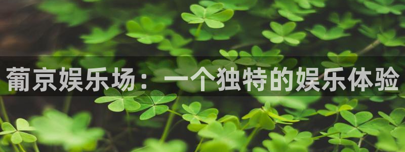 壹号娱乐包怎么样：葡京娱乐场：一个独特的娱乐体验