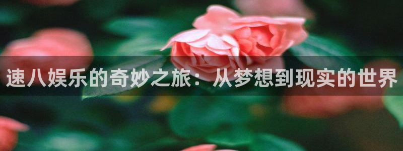 壹号娱乐5招商：速八娱乐的奇妙之旅：从梦想到现实的世界