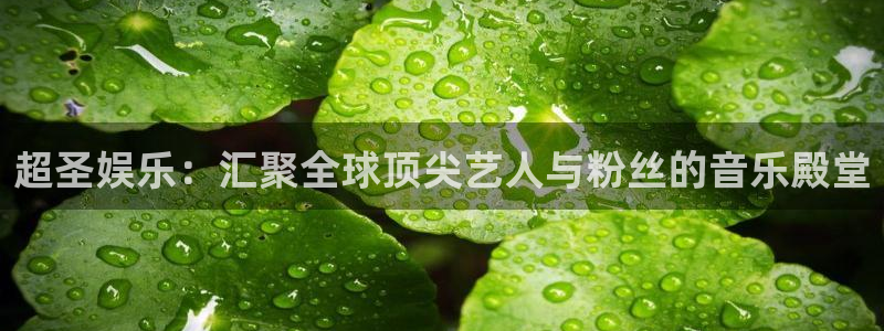 壹号娱乐3官网登录：超圣娱乐：汇聚全球顶尖艺人与粉丝的音乐殿堂