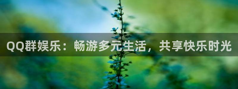 壹号娱乐f凯捷注册：QQ群娱乐：畅游多元生活，共享快乐时光
