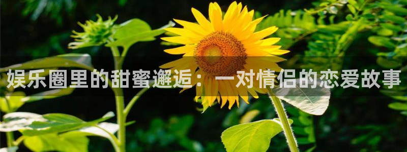 上海壹号娱乐汽车电子有限公司：娱乐圈里的甜蜜邂逅：一对情侣的恋爱故事