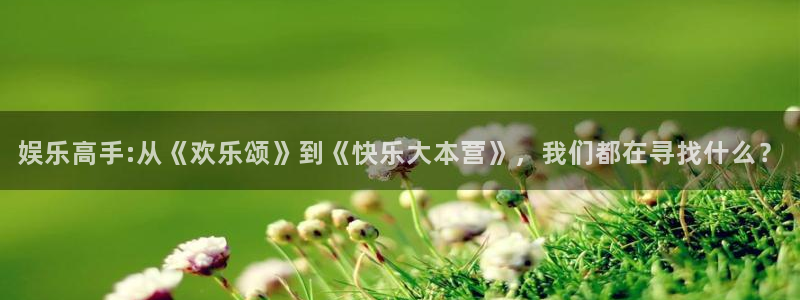 壹号娱乐官网注册：娱乐高手:从《欢乐颂》到《快乐大本营》，我们都在寻找什么？