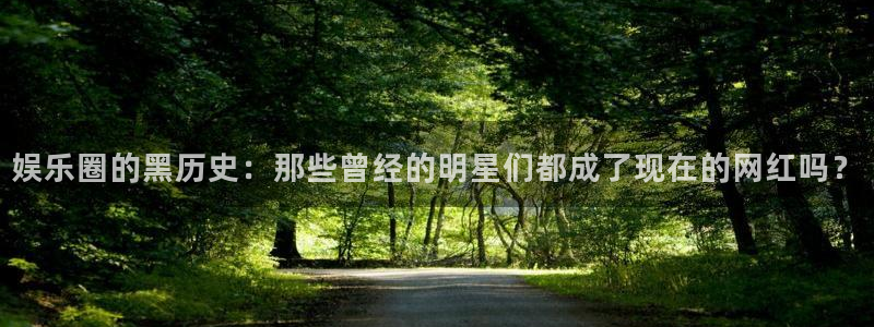 壹号娱乐3登陆：娱乐圈的黑历史：那些曾经的明星们都成了现在的网红吗？