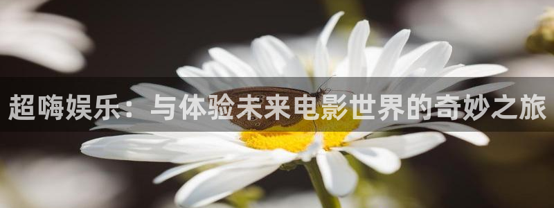 壹号娱乐2登录地址：超嗨娱乐：与体验未来电影世界的奇妙之旅
