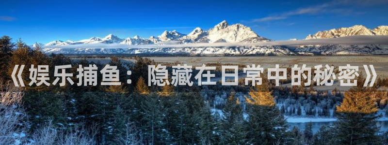 壹号娱乐体育平台登录入口：《娱乐捕鱼：隐藏在日常中的秘密》