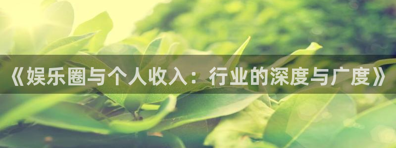 壹号娱乐登录：《娱乐圈与个人收入：行业的深度与广度》