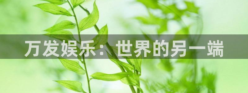 壹号娱乐体育代理申请流程